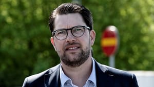 Åkesson hoppas på folkomröstning om EU-medlemskap  nästa mandatperiod