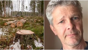 "Så kan en ny regering återskapa skogsägarnas förtroende"