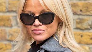 Brysselbubblan svarar på knepiga EU-frågor och diskuterar Pamela Anderson