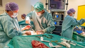 Närstående till döende kan förlora vetorätt vid organdonation