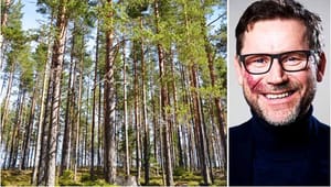 Norrskog: Skogsägare måste självklart få betalt