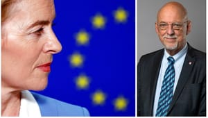 EU-ministern sågar systemet med spetskandidater