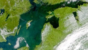 Forskare: Förslaget om utsläppsrätter i Östersjön bygger på okunskap