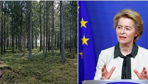 Miljökonsult: Moderaterna har missförstått EU:s klimatpolitik