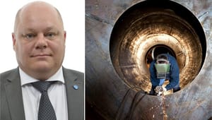 SD-ledamot: Sluta svartmåla svensk stålindustri