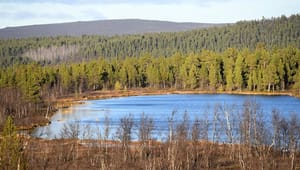 Fjällnära skog: Kammarkollegiet och Skogsstyrelsen gör halt