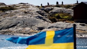SD: Utan oss kan inte Sverige försvaras