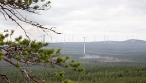 Svenskt näringsliv: Elhaveriet är ett hot mot klimatmålen