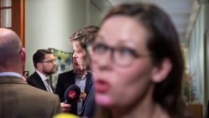 MP: Sluta tillåta SD sätta tonen för svensk flyktingpolitik