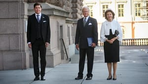 Söder (SD): Ge kungen ansvaret att föreslå ny statsminister för riksdagen