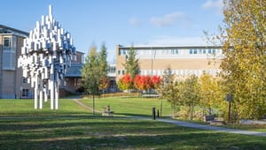 Umeå universitet får 28 miljoner till nytt program