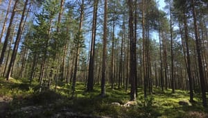 Svensk markering del av större naturskyddskontrovers