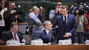 Taxonomibråk tar sig in på Europeiska rådet