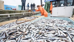 MSC: Agera mot skadliga subventioner som driver överfiske