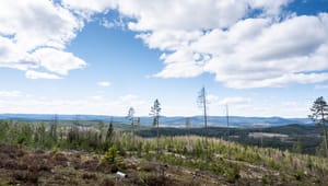 Forskare: Oförmåga att skydda samiska rättigheter hindrar klimatomställningen