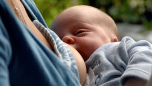 Jakt på ammande mammor – Finland ska undersöka miljögifter i bröstmjölk