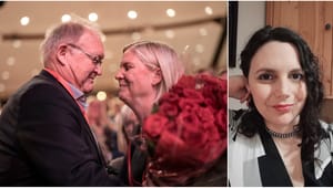 Andersson vill ha socialistisk kontroll över välfärden – inte demokratisk