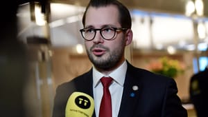 Åkesson söker brett förhandlingsmandat – inte orolig för toppstyrekritik