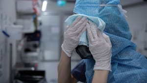 Vetenskapsakademien: ”Sverige tillät för stor smittspridning i början av pandemin”