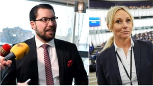 Här är Sverigedemokraternas riksdagslista