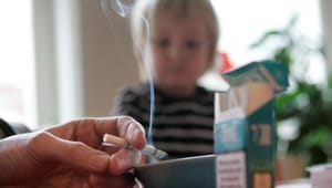 Danskt förslag om livstidsförbud mot tobak: ”Funnits i Sverige sedan sjuttiotalet”