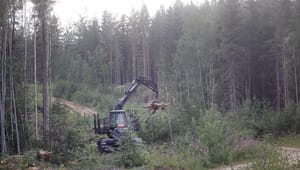 Skogsstyrelsen säger nej till skattesänkning för skogsbruket