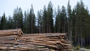 Replik: Hela det svenska skogsbruket måste ställa om