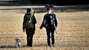 Trots kritik – Svenska jägareförbundets valberedning ändrar inte sin lista
