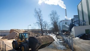 Sverige går ut hårt för att försvara skogsintressen i EU-förhandling