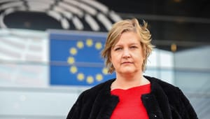 Karlsbro (L) kritiserar bredare EU-samarbete med SD