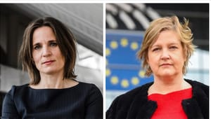 Efter Altingets avslöjande: Toppnamn visste inte om bredare SD-samarbete – EU-ministern svarar 