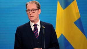 Utrikesministern behöver visa att Sverige står upp för mänskliga rättigheter inom FN