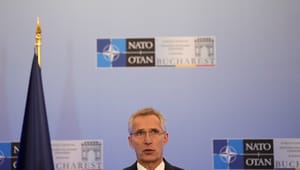 Frys den svenska Natoprocessen