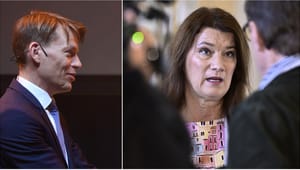 Fritt fram för PM Nilssons Timbrojobb – men Ann Linde får restriktioner