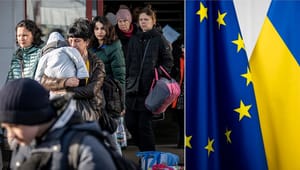 Ett år med massflyktsdirektivet – ”Dags att hitta långsiktiga lösningar”