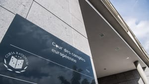 EU:s revisionsrätt kritiserar svårgranskat lapptäcke av EU-pengar
