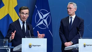 Regeringen vill se snabbspår för Natolag