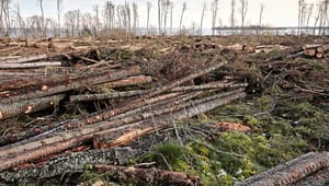 Slutreplik: Skydda skogen har fel utgångspunkt i debatten om biobränslens klimatpåverkan