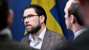Karlsbro (L): Tur att Jimmie Åkessons EU-politik saknar stöd