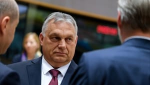 Ungerns EU-ordförandeskap ifrågasätts – men inte av Sverige 