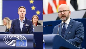 SD:s prioriteringar: Gränsstängsel och mindre makt åt EU