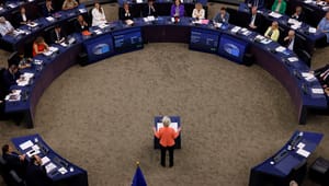 Politisk balansgång när EU-chefen kandiderar till sitt eget jobb
