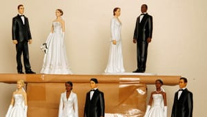 GAPF: Kusinäktenskap är ingen ”skitfråga”