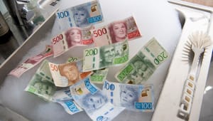 Otydlig penningtvättslag kan hämma svensk tillväxt