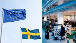 Så kan regeringen göra Sverige mer attraktivt för globala talanger