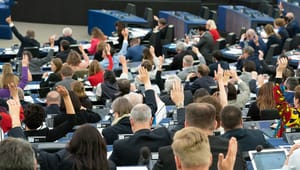 Svenska EU-politiker splittrade kring klimaträttvisa och företagsansvar 