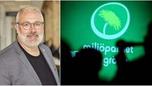 Magnus P. Wåhlin: Därför vill jag bli språkrör för Miljöpartiet