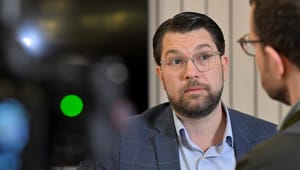 Riksdagsledamöter får lämna SD:s partistyrelse