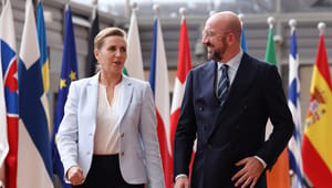 EU:s veto under lupp i grupparbete på toppnivå