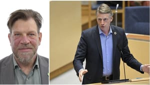 Han ersätter Per Bolund i riksdagen